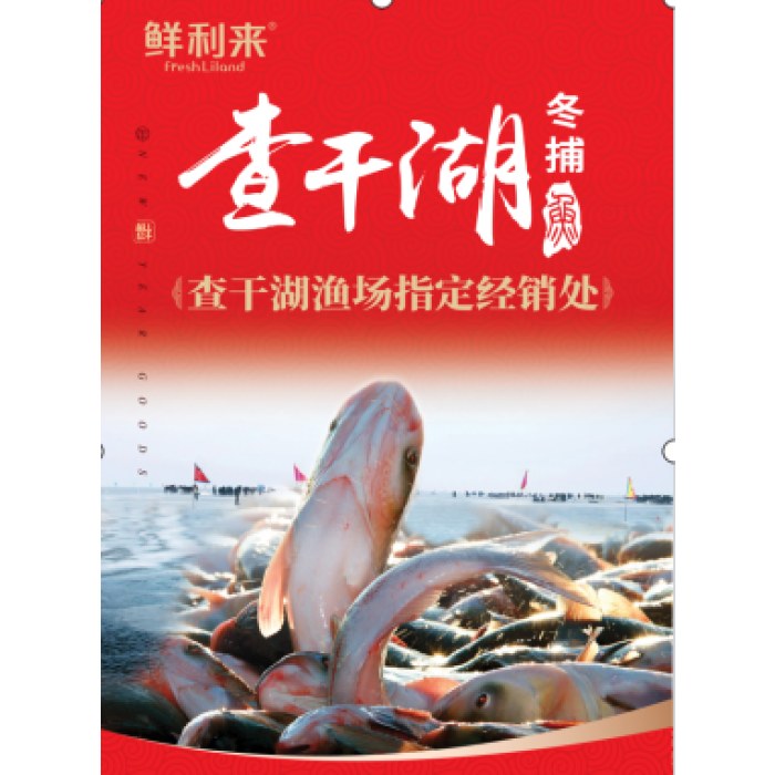 鲜利来 普天同庆 3998型