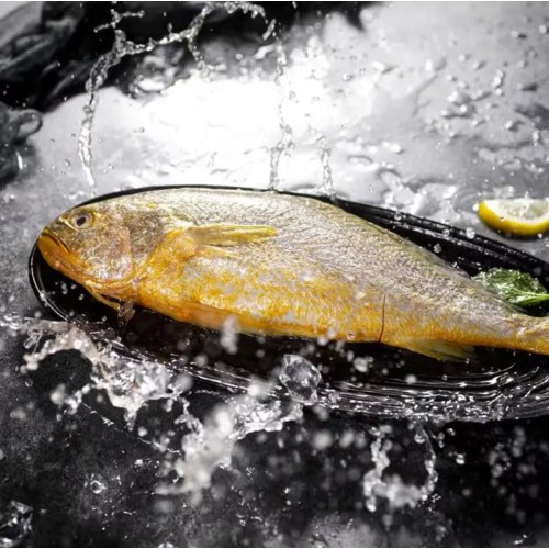 三都港 冷冻三去黄花鱼