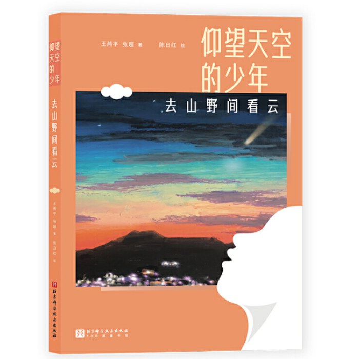 仰望天空的少年-去山野间看云