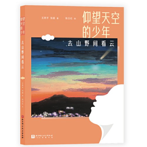 仰望天空的少年-去山野间看云