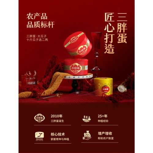 三胖蛋五香瓜子罐装---175g/罐*4罐