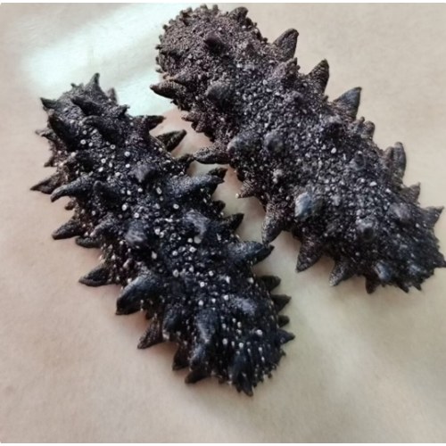 大连淡干海参礼盒（国标）