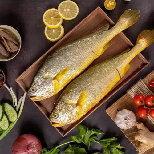 三都港 冷冻三去黄花鱼