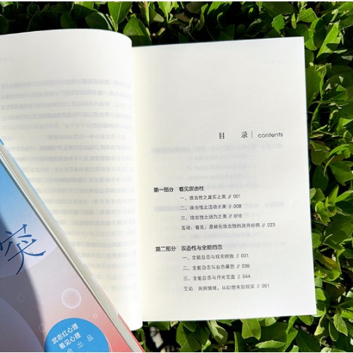 敢于冲突：活出必要的攻击性