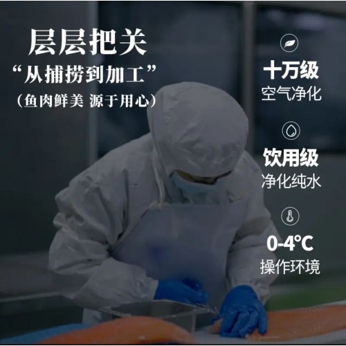 海天下冰鲜挪威三文鱼刺身 切片中段400g+鱼腩200g 源头直发