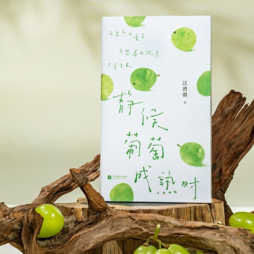 静候葡萄成熟时