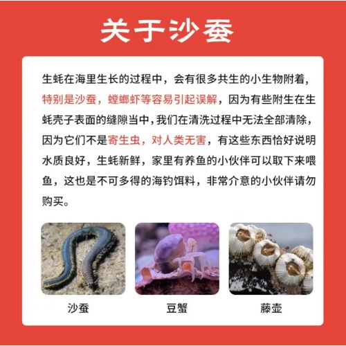 鲜活生蚝 源头直发 鲜活到家