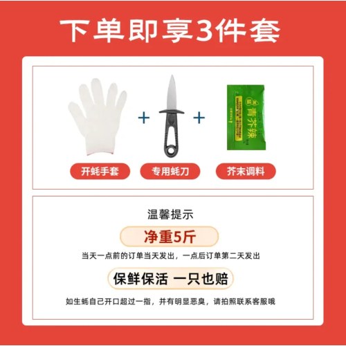 鲜活生蚝 源头直发 鲜活到家