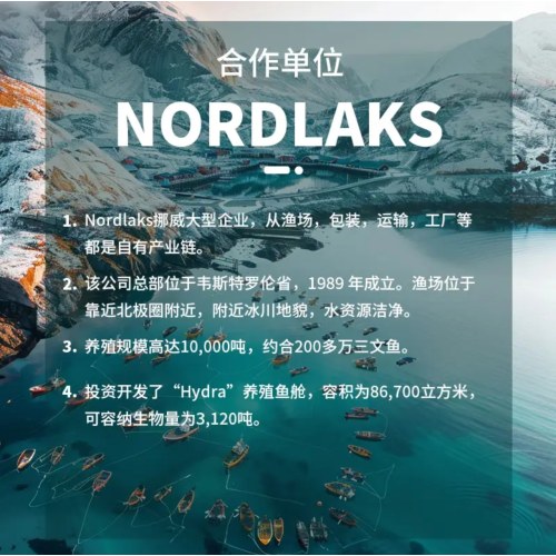 海天下冰鲜挪威三文鱼刺身 切片中段400g+鱼腩200g 源头直发