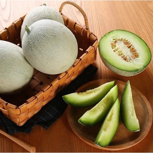 网纹蜜瓜 2粒装 净重4-5斤