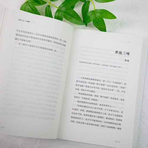 风吹不走一只蝴蝶