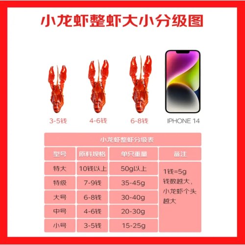 加热即食小龙虾 3-5钱/只 60-77只 共3盒4.2斤 净虾2.31斤