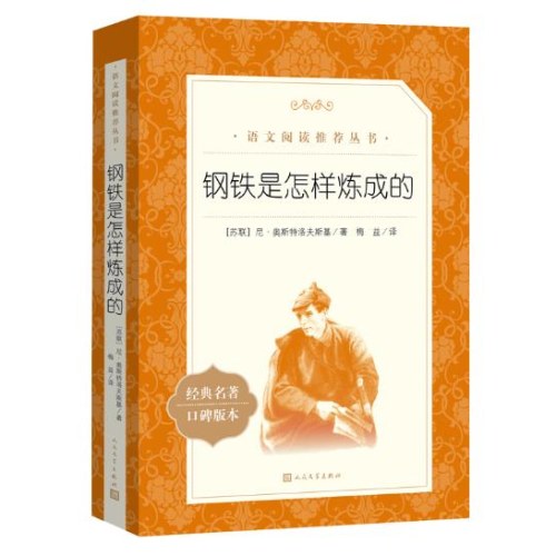 钢铁是怎样炼成的(《语文》推荐阅读丛书)