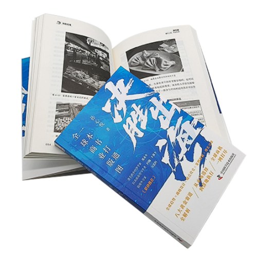 决胜出海 一本书打通全球商业版图