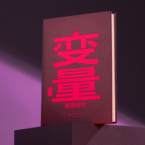 变量8:颜值时代