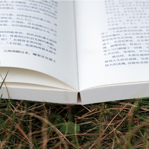 苏东坡传：人生就是哈哈哈哈哈