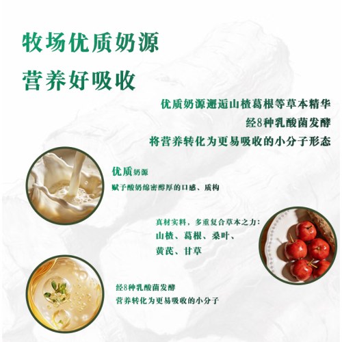 甄养健萃草怡生酸奶原味风味发酵乳中老年代餐不添加白砂糖酸牛奶礼盒 200g*12瓶