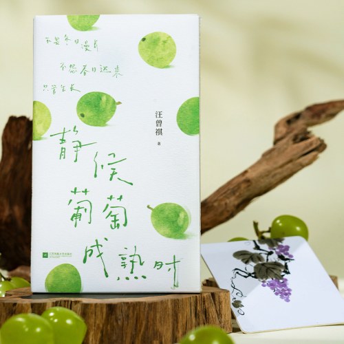 静候葡萄成熟时