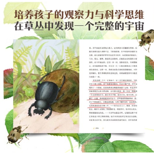 昆虫记（灯塔世界经典文库）