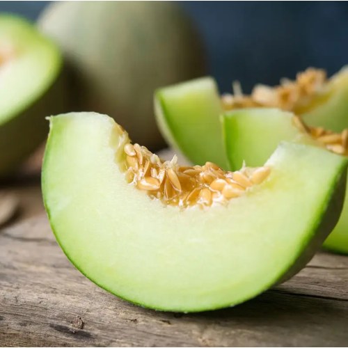 网纹蜜瓜 2粒装 净重4-5斤