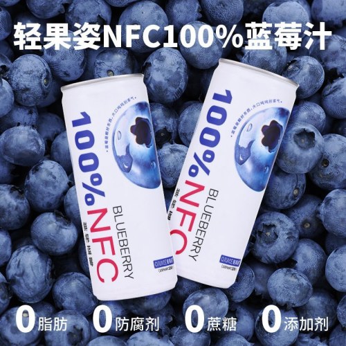 轻果姿进口NFC蓝莓果汁250ml