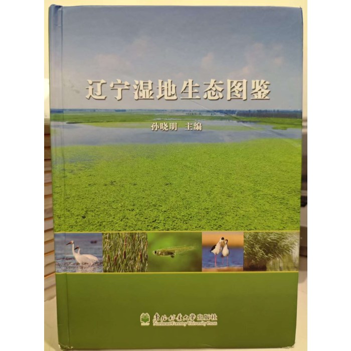 l辽宁湿地生态图鉴