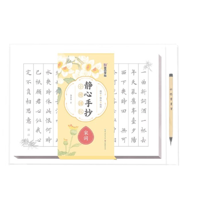 静心手抄小楷描红宋词