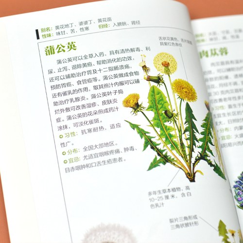 药用植物图鉴