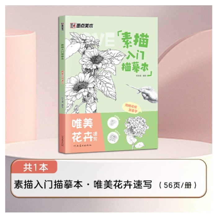 素描入门临摹本唯美花卉速写