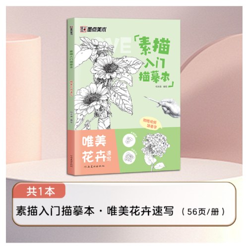 素描入门临摹本唯美花卉速写