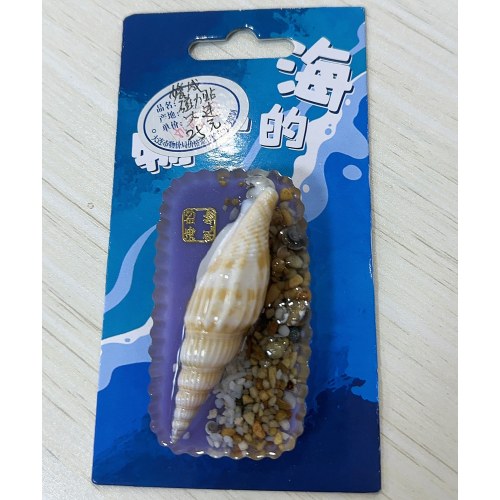 海螺-螃蟹冰箱贴