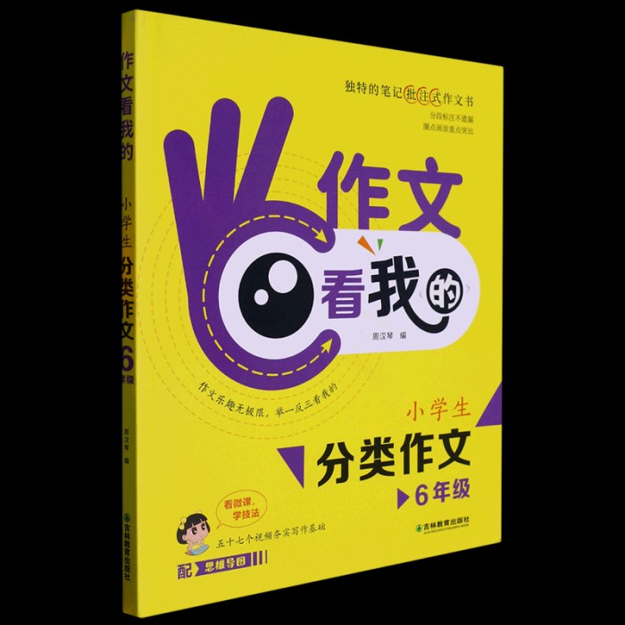 作文看我的.小分类作文6年级