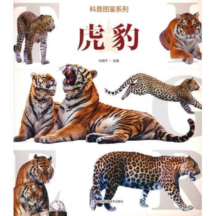 科普图鉴系列 虎豹