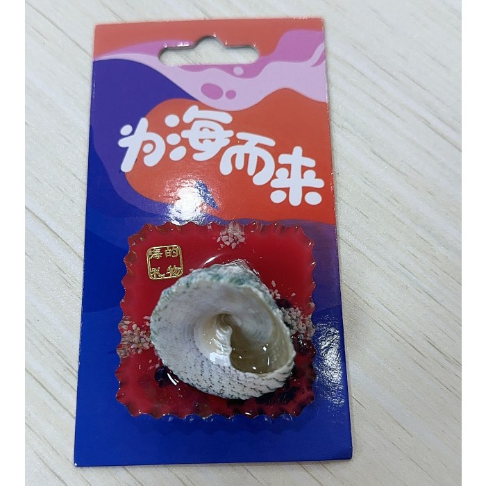 海螺-螃蟹冰箱贴