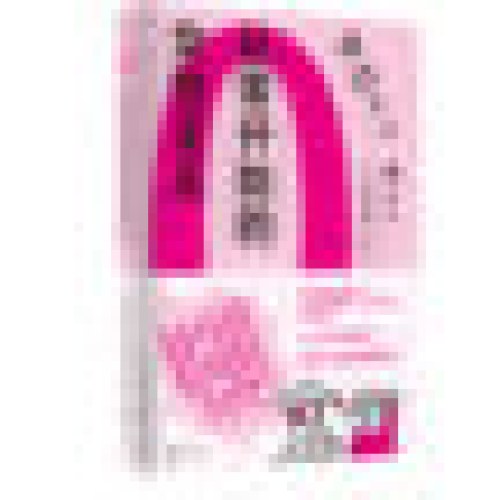 从零开始的女性主义