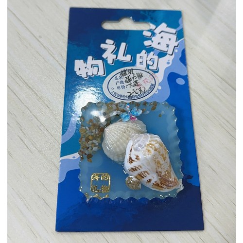 海螺-螃蟹冰箱贴