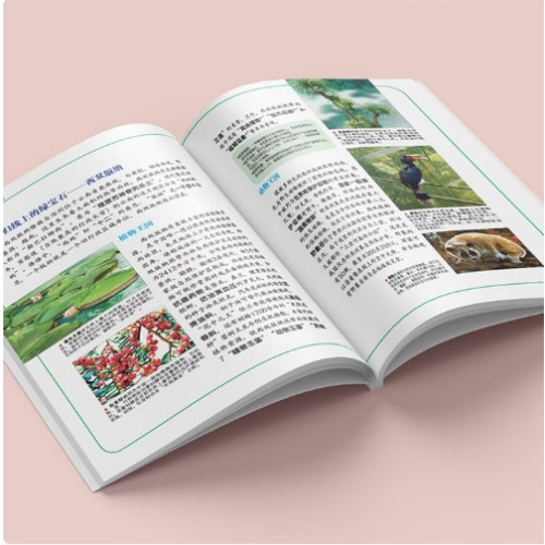 大中华寻宝系列13·云南寻宝记