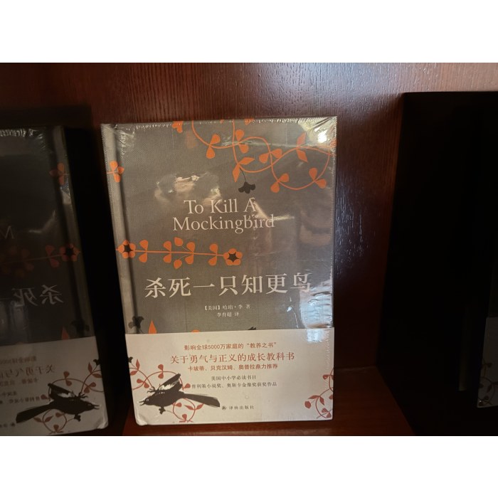 杀死一只知更鸟