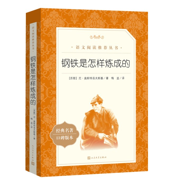 钢铁是怎样炼成的(教育部统编《语文》推荐阅读丛书）