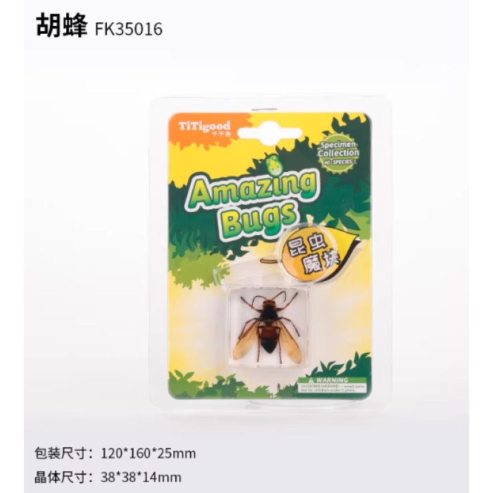 昆虫标本单个挂装--胡蜂