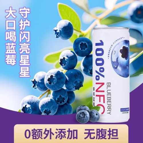 轻果姿进口NFC蓝莓果汁250ml
