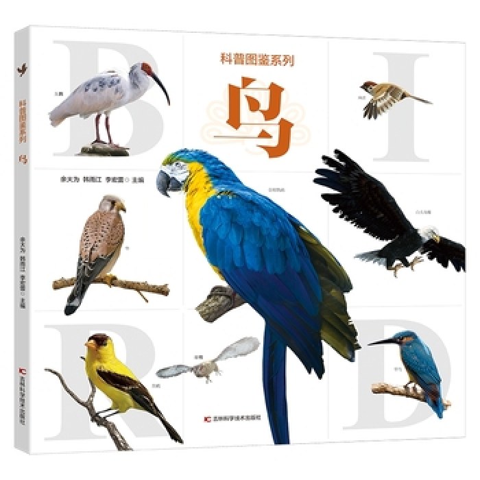 科普图鉴系列·鸟