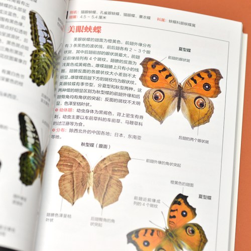 蝴蝶图鉴