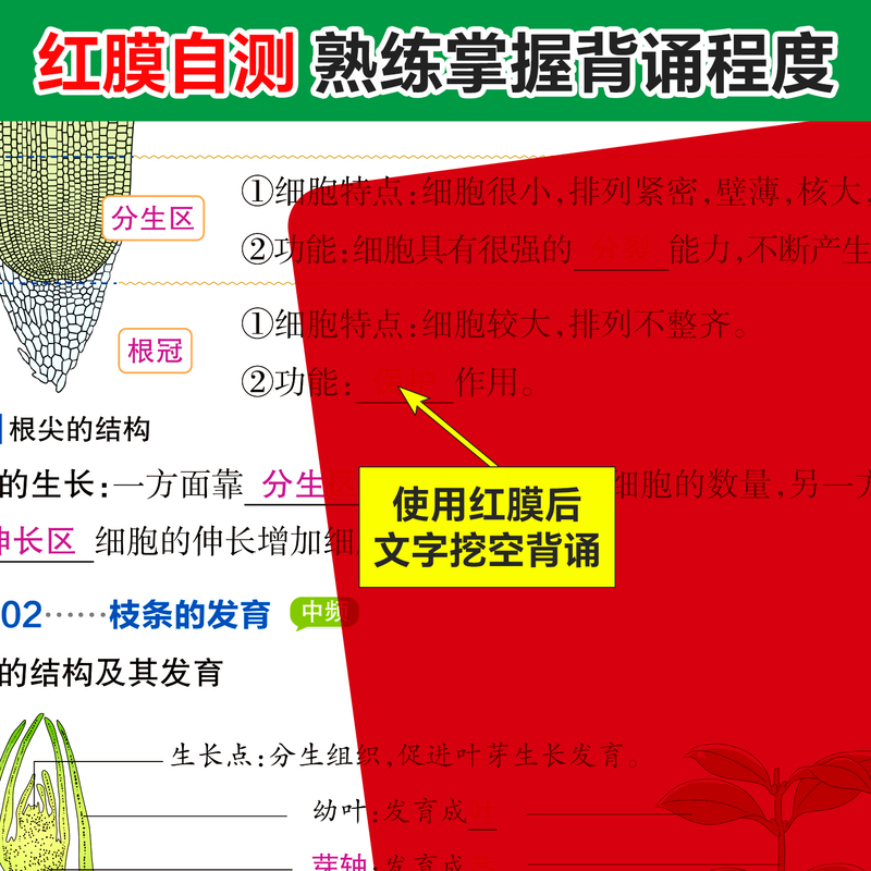 期中期末速查速记-生物七年级(2026春下)(全彩版)