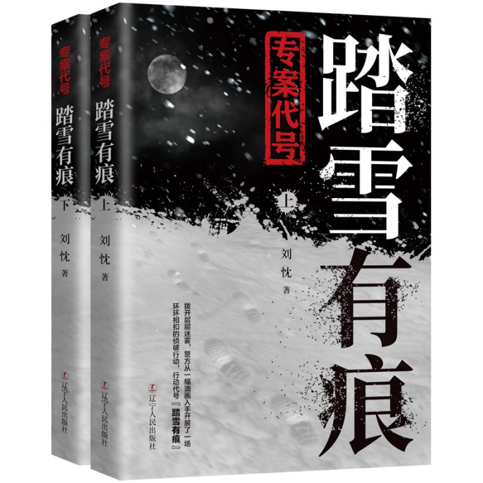 专案代号：踏雪有痕