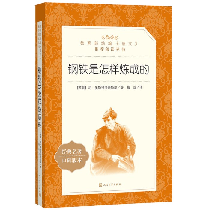 钢铁是怎样炼成的(教育部统编《语文》推荐阅读丛书）