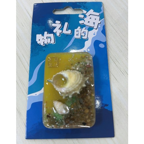 海螺-螃蟹冰箱贴