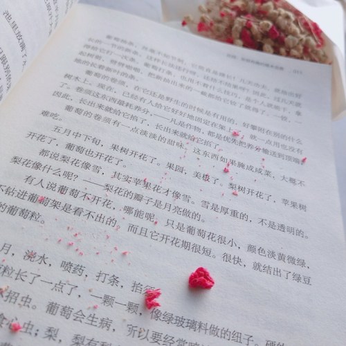 万物有趣：汪曾祺散文集