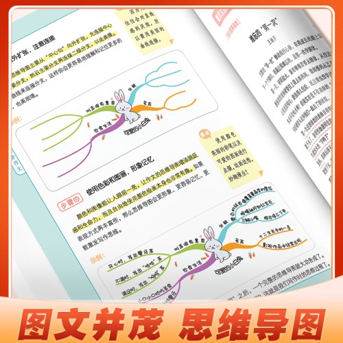 思维导图系列 小学生优秀作文