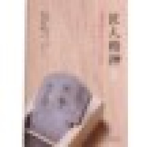 匠人精神2：追求极致的日式工作法